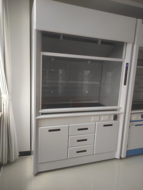 Cappa aspirante con porta a sollevamento e abbassamento automatico personalizzata per il cliente americano Khoa, 31 agosto