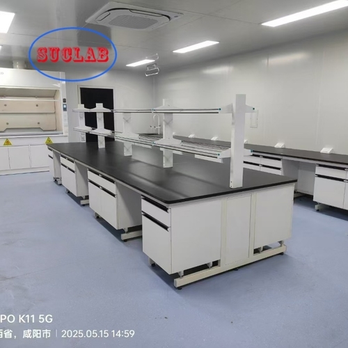 Casework di laboratorio di legno di acciaio personalizzato per il cliente Mr.Tar nella Repubblica popolare della Mongolia nel 2024