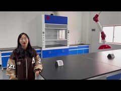 Laboratorio del vapore Hood For Factory, dell'ospedale e della scuola di qualità della Cina