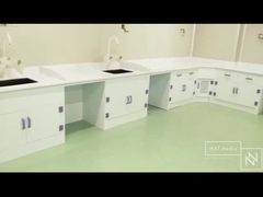 Fornitori della stazione di lavoro del laboratorio della Cina pp/stazione di lavoro laboratorio di prezzo basso pp/più nuova stazione di lavoro dei pp