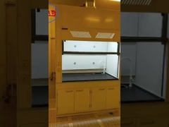 Bordo fisiochimico Benchtops del vapore del metallo del laboratorio del cappuccio 50mm dei piedi regolabili d'acciaio di altezza