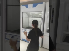 Metodo di controllo manuale Cappuccio di fumo di laboratorio con condotti facili da sentire e allarmi visivi