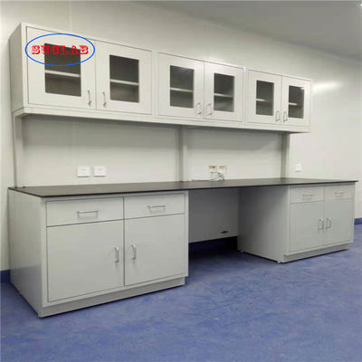 Buon prezzo Fisso a prova d'umidità degli anti di corrosione di chimica del laboratorio Governi della mobilia in linea