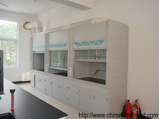 Buon prezzo Vapore Hood For Chemical Laboratory Practical del piano d'appoggio ISO14001 in linea
