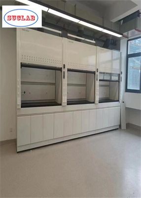 Buon prezzo Cappuccio di fumo di laboratorio con filtro di carbonio attivo in vendita con caratteristiche personalizzate in linea
