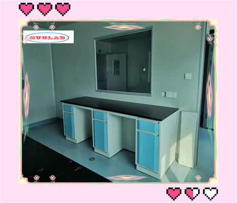 Buon prezzo Casework di laboratorio pieghevoli Reggi di reagenti durevoli con scaffale in vetro regolabile in telaio da 40*60*100 mm in linea