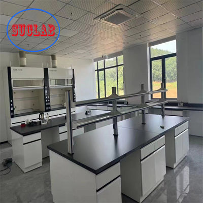 Buon prezzo Stainless Steel Hinge Chemistry Lab Bench Banchi di laboratorio scrivanie e postazioni di lavoro con soluzione per armadi di acciaio in linea