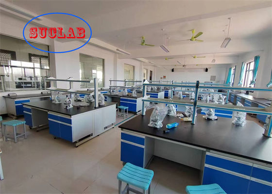 Buon prezzo Scaffale di laboratorio di chimica resistente a sostanze chimiche personalizzabile in linea