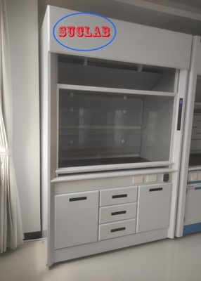 Buon prezzo Soluzioni per cappe chimiche da laboratorio con porte a caduta e sollevamento automatiche in acciaio, per ambienti di lavoro a basso rumore. Livello di rumore ≤60dB. Flusso d'aria 100m3/h in linea