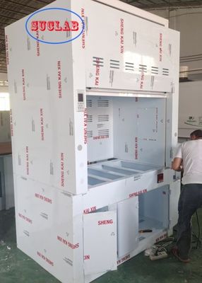 Buon prezzo Cappa chimica personalizzata 220V/110V con soluzioni di depurazione e prestazioni di illuminazione a LED in linea