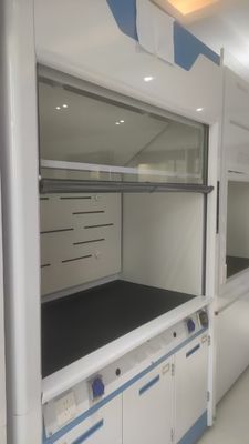 Buon prezzo Customizable Automatic Sash Closure System Fume Hood for American Clients Mr.. Khoa in linea