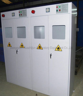 Buon prezzo Compagnia di armadi di stoccaggio del gas Fornitore di armadi di stoccaggio del gas Prezzo dell'armadi di stoccaggio del gas in linea