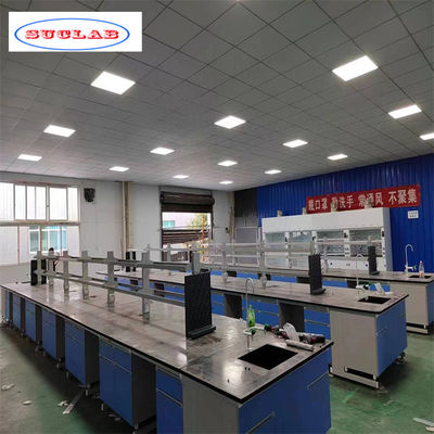 Buon prezzo Struttura integrata e facile installazione Arredamento di laboratorio chimico OEM/ODM Accettabile in linea