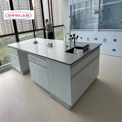 Buon prezzo Banch di laboratorio di chimica standard con disegno e numero di porte come specificato in linea