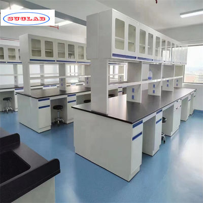 Buon prezzo Banchetto di lavoro per laboratorio di chimica versatile con numerosi ganci e compartimenti in linea