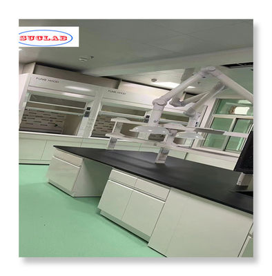 Buon prezzo Installazione rapida ed efficiente di mobili da laboratorio con confezione in compensato per l'esportazione in linea