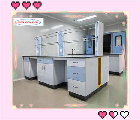 Buon prezzo Alta resistenza chimica e elevata compatibilità ambientale Laboratorio di chimica Banchi di laboratorio Stazione di lavoro in linea