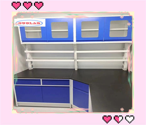 Buon prezzo Laboratorio di chimica durevole banco Casework di laboratorio con cassetto in PP per istituti educativi in linea