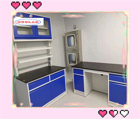 Buon prezzo 80 kg banco di laboratorio di chimica Casework di laboratorio con elevata eco-compatibilità in linea