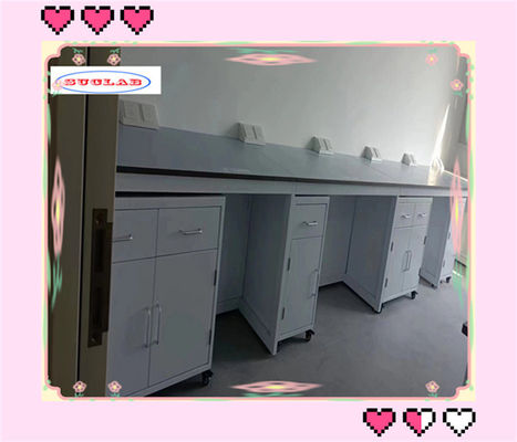 Buon prezzo Banchi di laboratorio di chimica funzionale Banchi di laboratorio con armadio in acciaio inossidabile e capo di resina fenolica/epossidica in linea