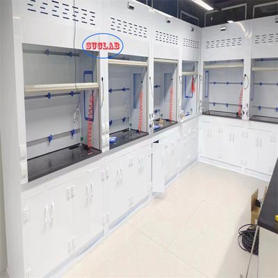 Buon prezzo Sistema di controllo microcomputer Cappuccio chimico di fumo Laboratorio Fuming Armadio Installazione a parete Tipo in linea