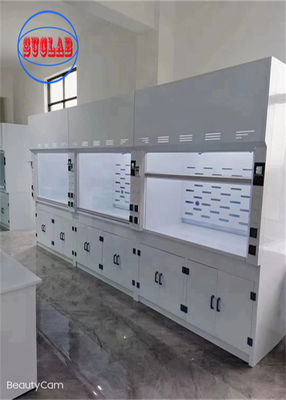 Buon prezzo 220V Chemical Fume Hood Laboratory Acid Fume Hood Parete montata con struttura orizzontale in linea