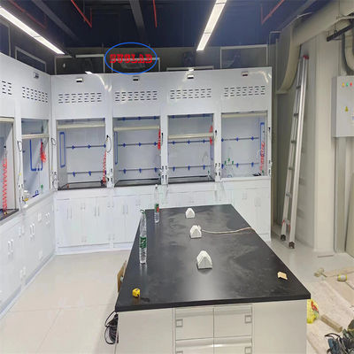 Buon prezzo Microcomputer controllato per muro Chemical Fume Hood Laboratory Fume Hood con scrubber per l'efficienza in linea