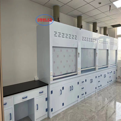 Buon prezzo Prestazioni acustiche ≤ 60dB Cappucce chimiche di laboratorio Cappucce con scrubber controllato da microcomputer in linea