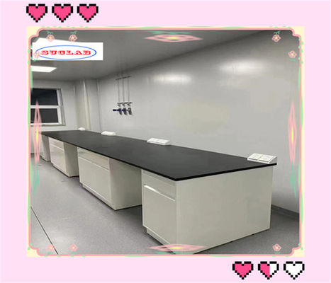 Buon prezzo Bench di laboratorio di chimica solida con scaffale di vetro regolabile Server tipo 12 mm di spessore in linea