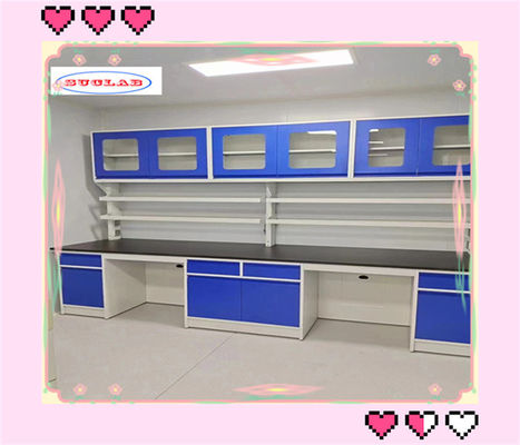 Buon prezzo Casework di laboratorio personalizzabili con DTC 105° Buffer Hinge Solution in linea