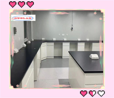 Buon prezzo DTC Laboratory Benches Silent Rail 16 pollici tre sezioni per OEM ODM in linea