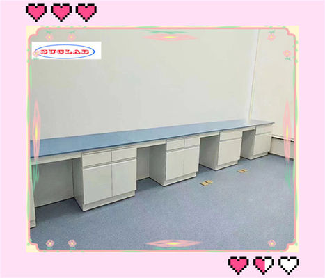 Buon prezzo Scavo di laboratorio di chimica rettangolare Dimensione L*1500/750 W *800/850mm H Personalizzabile in linea