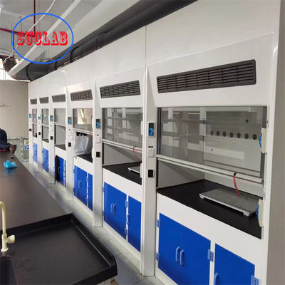 Buon prezzo Cappucci di laboratorio su misura con sistema di controllo manuale della Wet Scrubber Company in linea