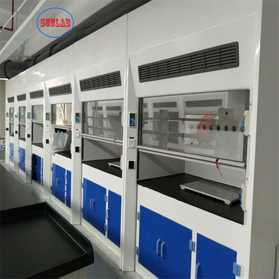 Buon prezzo Armadio di combustione di laboratorio ad alta efficienza 220V 380V OEM automatico in linea