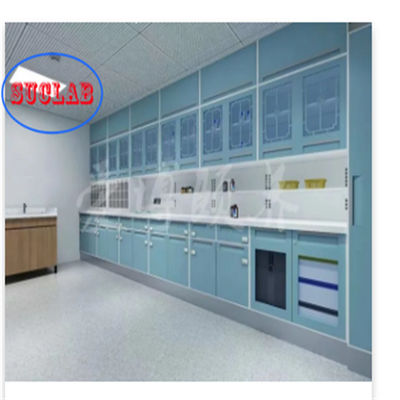 Buon prezzo Arredamento ospedaliero clinico personalizzabile Armadio medico L 3000*W 600*H 850-900 mm in linea