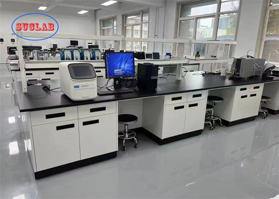 Buon prezzo Banco di laboratorio multifunzionale Malesia con presa a prova di schizzi e lavandino in PP/ceramica/resina epossidica in linea