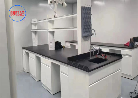 Buon prezzo Banco di laboratorio di acciaio Hong Kong Arredamento di laboratorio di chimica Vietnam Con lavandino in PP e rubinetto in ottone in linea