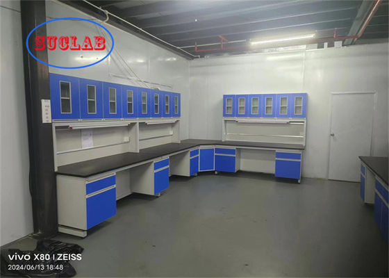 Buon prezzo Sicurezza Chimica C Cornice Chimica Laboratorio Banchetto di lavoro Mobili di laboratorio Malesia con armadi multipli in linea