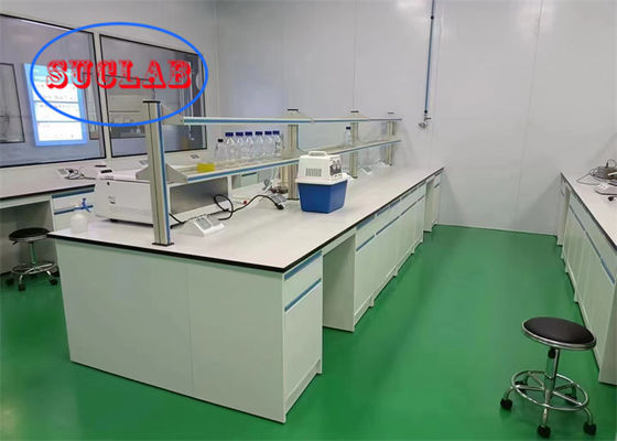Buon prezzo Custom Color Indonesia Steel Laboratory Bench With Storage OEM ODM Server Tipo per ospedale e scuola in linea