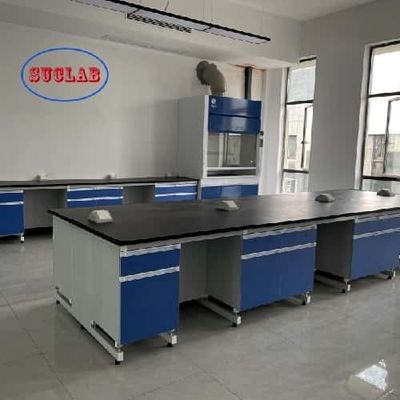Buon prezzo Ottimo servizio clienti per banchi e armadi di laboratorio personalizzabili in legno in linea