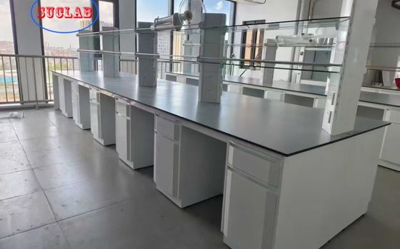 Buon prezzo Upgrade Your Lab with Modern and Durable Powder Coating Laboratory Workstation Furniture in linea