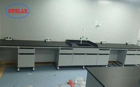 Buon prezzo Bespoke Laboratory Furniture Manufacturer with Modular Construction Acceptable OEM/ODM in linea