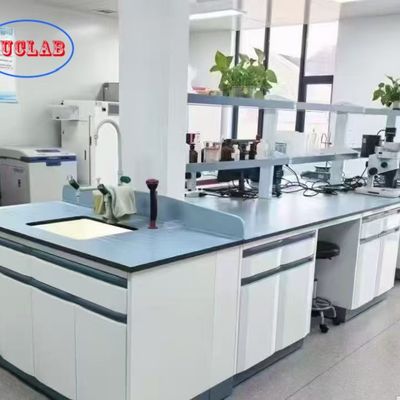 Buon prezzo Customized Made Laboratory Furniture Manufacturers in Steel Material for Chemical Lab in linea